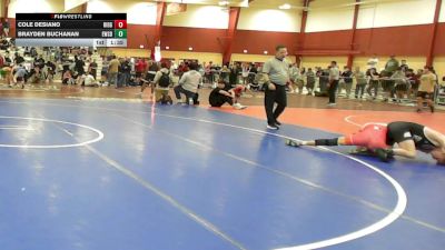 113 lbs 3rd Place - Cole Desiano, Ridgefield High School vs Brayden Buchanan, Ewsd