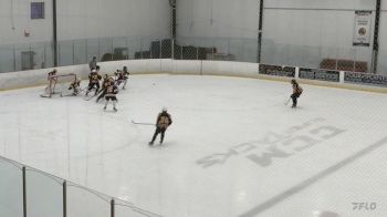 Replay: Home - 2024 Rapid Hockey vs Top Shelf | Jul 13 @ 9 AM