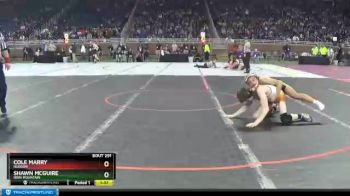 D4-119 lbs Semifinal - Shawn McGuire, Iron Mountain vs Cole Marry, Hudson