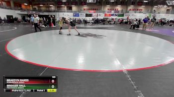 165 lbs Cons. Round 3 - Braedyn Rakes, Morningside (Iowa) vs Bridger Hall, Providence (Mont.)