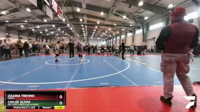 107 lbs Champ. Round 1 - Caylee Olivas, NXT Level Wrestling Academy vs Juliana Trevino, Texas