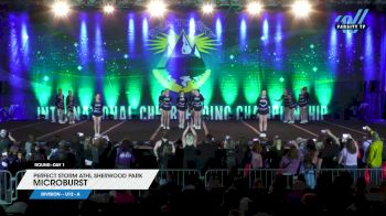 Perfect Storm Athl Sherwood Park - Microburst [2024 L2 - U12 - A Day 1] 2024 Sea to Sky International Cheer & Dance Championship