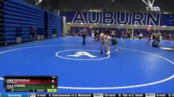 120 lbs Quarterfinal - Jake Ciccolella, Huntsville vs Cale Garner, Auburn