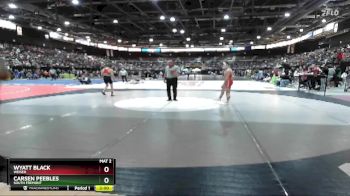 113 lbs Champ. Round 1 - Wyatt Black, Weiser vs Carsen Peebles, South Fremont
