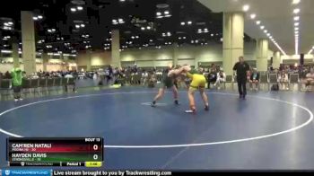 195 lbs Placement Matches (8 Team) - Hayden Davis, Strongsville vs Cam`ren Natali, Medina HS