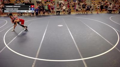 117 lbs Champ. Round 3 - Dominic Englese, IL vs Brecken Grav, SD
