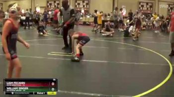 75 lbs Round 5 (6 Team) - Liam Fecanin, Elite Wrestling vs William Singer, Keystone Krush