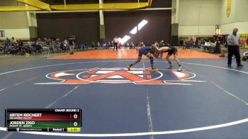 141 lbs Champ. Round 2 - Artem Reichert, Delaware Valley vs Jorden Zigo, Mount St. Joseph