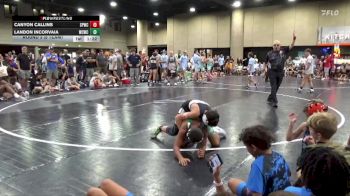 116 lbs Round 3 (8 Team) - Canyon Callins, Spartan WC vs Landon Incorvaia, Williamson County WC