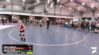 61 lbs Quarterfinal - Ronan Lutter, Texas Eagle Wrestling Academy vs Tripp Flores Iii, Fitness Fight Factory Wrestling Club