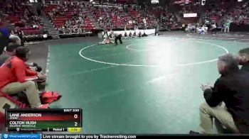 D2-113 lbs Quarterfinal - Colton Hush, Baldwin-Woodville vs Lane Anderson, Amery