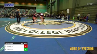 70 lbs Consolation - Declan Rickel-Cruz, Team Aggression vs Michael Dillon, Red Wave Wrestling