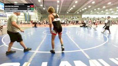 126 lbs Rr Rnd 2 - Colton Gillespie, University Hawks Wrestling Club vs Bennet Palmeri, Superior SWA