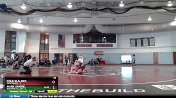 133 lbs Round 1 (6 Team) - Cole Blalock, Huntingdon vs Mark Samuel, Roanoke College