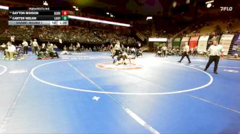 175 Class 4 lbs Champ. Round 1 - Dayton Moison, Ozark vs Carter Welsh, Lafayette (Wildwood)