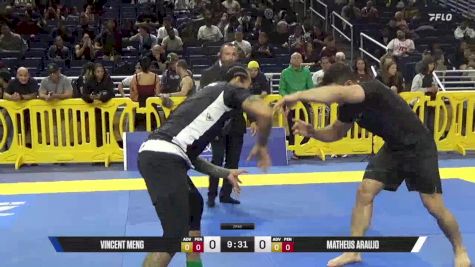 Matheus Araujo vs Vincent Meng 2025 Pan IBJJF Jiu-Jitsu No-Gi Championship