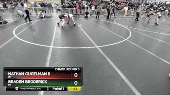 113 lbs Champ. Round 3 - Nathan Gugelman Ii, ID vs Braden Broderick, MI