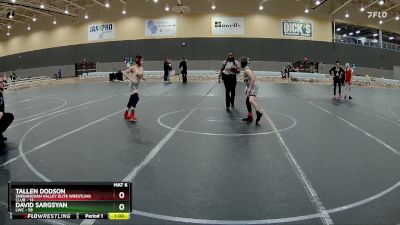 76 lbs 5th Place Match - Tallen Dodson, Shenandoah Valley Elite Wrestling Club vs David Sargsyan, LWC