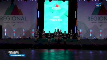 Motor City Cheer - Tigers Eye [2025 L4 Senior - D2 04/13/2025] 2025 The Midwest Regional Summit