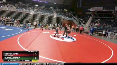 92 lbs Quarterfinal - Tripton James, Lusk Rawhide vs Dominic Gardea, Green River Grapplers