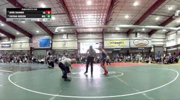 113 lbs Quarterfinal - Jere Baines, Liberty vs Taitan Green, Mcqueen