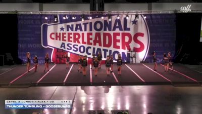 Thunder Tumbling - GooseBumps [2026 L3 Junior - Flex - D2 Day 1] 2026 NCA Atlanta Classic