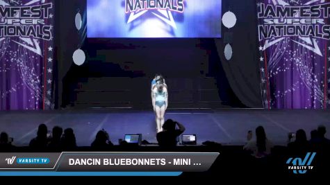 Dancin Bluebonnets - Mini Large Jazz [2022 Mini - Jazz - Large Day 2] 2022 JAMfest Dance Super Nationals