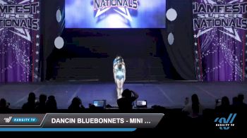 Dancin Bluebonnets - Mini Large Jazz [2022 Mini - Jazz - Large Day 2] 2022 JAMfest Dance Super Nationals
