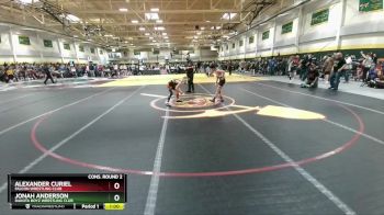 95 lbs Cons. Round 2 - Alexander Curiel, Falcon Wrestling Club vs Jonah Anderson, Dakota Boyz Wrestling Club