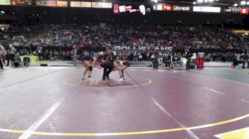 100 lbs Champ. Round 2 - Mylie Phillips, Ridgevue vs Melayna Johnson, Riverton