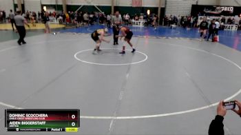 157 lbs Cons. Round 3 - Dominic Scocchera, Eagle Crest Wrestling Club vs Aiden Biggerstaff, Gretna