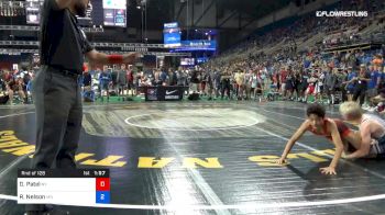 100 lbs Rnd Of 128 - Dhilan Patel, New York vs Reid Nelson, Minnesota