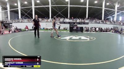 90 lbs Round 3 (6 Team) - Addison Wenkel, Michigan vs Makenley Harker, Ohio