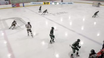 Replay: Home - 2025 Shawnigan vs Delta Green | Jan 17 @ 1 PM