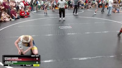 80 lbs Quarterfinal - Ethan Harris, Palmetto State Wrestling vs Judah Jones, Coastal Elite