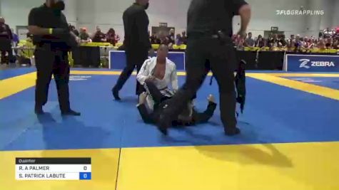 ROBERT A PALMER vs SEAN PATRICK LABUTE 2021 World Master IBJJF Jiu-Jitsu Championship