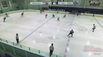 Replay: Home - 2024 Adirondack vs New Hampshire | Nov 3 @ 4 PM