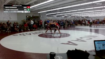 157 lbs Champ. Round 1 - Beau Robinson, MSU Moorhead vs Jovan Vukajlovic, Augsburg