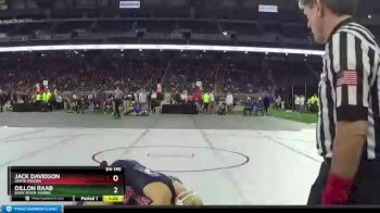 D4-145 lbs Quarterfinal - Dillon Raab, Bark River-Harris vs Jack Davidson, White Pigeon