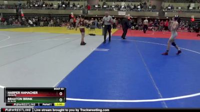 95 lbs Semifinal - Harper Hamacher, Mn Elite vs Braxton Brink, DC Elite