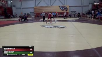 133 lbs Quarterfinal - Coby Haney, Millikin vs Jakob Regan, Coe