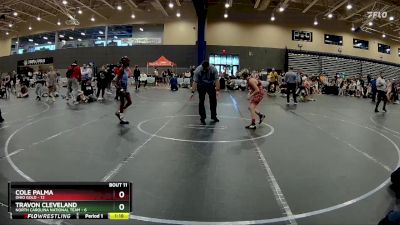 88 lbs Round 3 (8 Team) - Cole Palma, Ohio Gold vs Travon Cleveland, North Carolina National Team