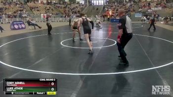 A 138 lbs Cons. Round 2 - Cody Agnell, Tullahoma vs Luke Athoe, Green Hill