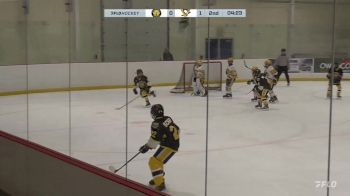 Replay: Home - 2024 Waterloo U12 vs Penguins U12 | Nov 29 @ 6 PM