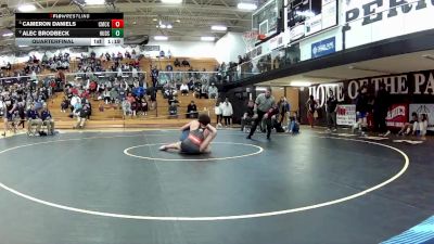 165 lbs Quarterfinal - Cameron Daniels, Canton McKinley vs Alec Brodbeck, Hudson