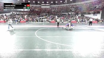 135 lbs Champ. Round 1 - Mason Peach, Wisconsin vs Bryce Allen, Gold Medal Wrestling Club