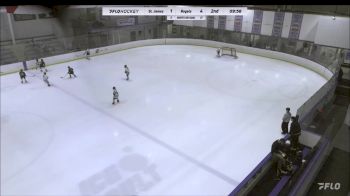 Replay: Home - 2023 St. James 10U (G) vs Royals U10 | Nov 12 @ 12 PM