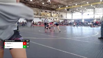 106 lbs Round 3 (6 Team) - Angelina Gochis, Team Minnesota vs Jamie Hearl, Big Money Movin