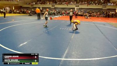 110 lbs Cons. Semi - Rayfe Walker, Z-M (Zumbrota/Mazeppa) vs Cooper Adams, Perham