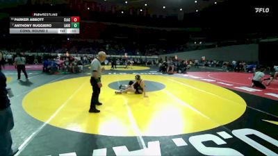 6A Boys 138 lbs Cons. Round 2 - Anthony Ruggiero, Lake Oswego Boys vs Parker Abbott, Clackamas Boys